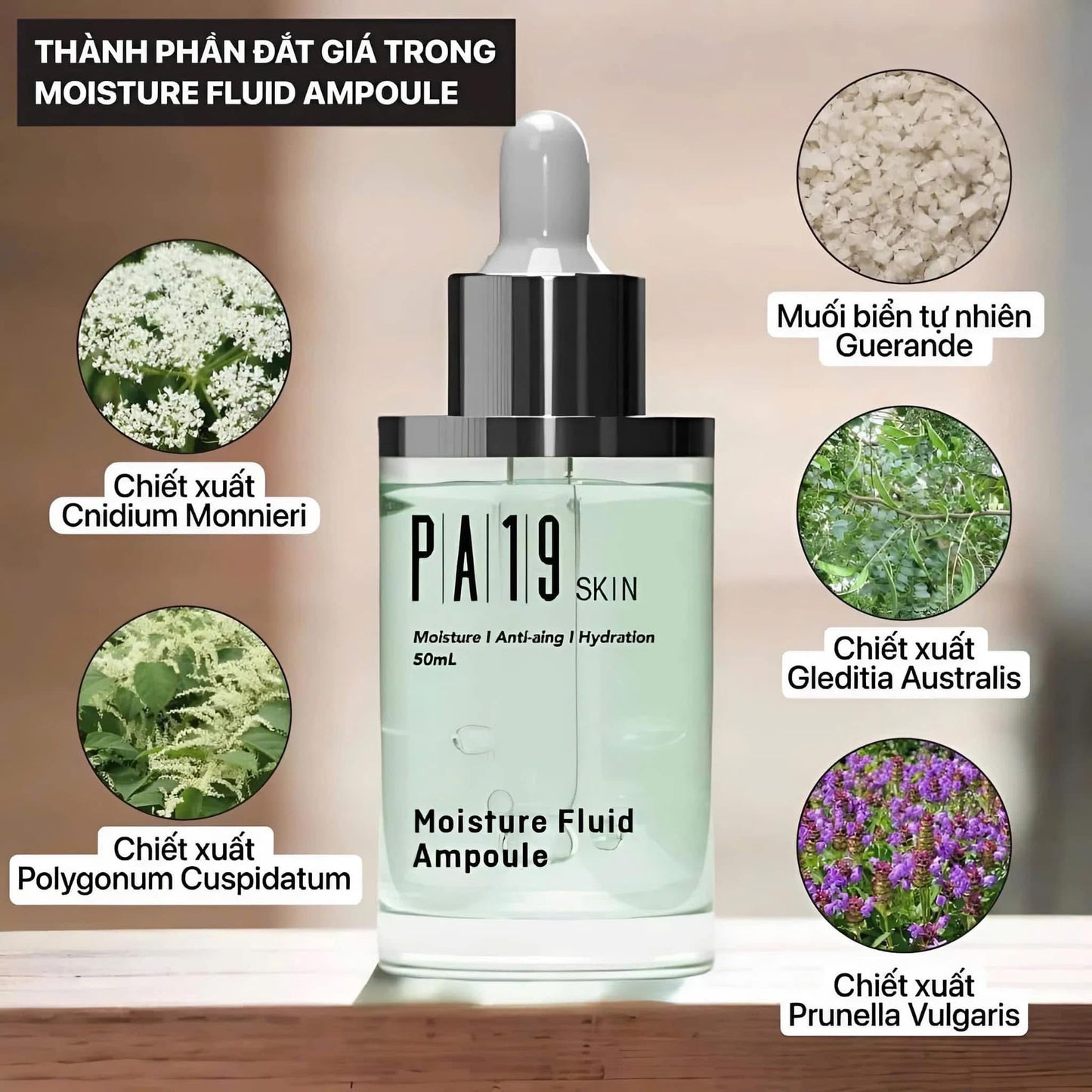 SERUM PA19 MOISTURE FLUID AMPOULE